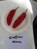 AIDP_20150927_ChiliCode_1434.JPG