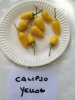 AIDP_20150927_ChiliCode_1441.JPG