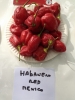 AIDP_20150927_ChiliCode_1444.JPG