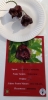 AIdP_20140928_ChiliCode_0919.JPG