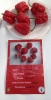 AIdP_20140928_ChiliCode_0950.JPG