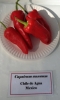AIdP_20140928_ChiliCode_1833.JPG