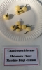 AIdP_20140928_ChiliCode_1836.JPG