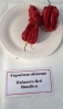 AIdP_20140928_ChiliCode_1845.JPG