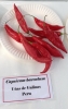 AIdP_20140928_ChiliCode_1856.JPG