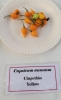 AIdP_20140928_ChiliCode_1857.JPG