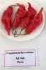 AIdP_20140928_ChiliCode_1859.JPG