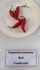 AIdP_20140928_ChiliCode_1877.JPG