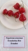 AIdP_20140928_ChiliCode_1886.JPG