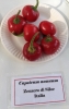 AIdP_20140928_ChiliCode_1887.JPG