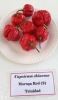 AIdP_20140928_ChiliCode_1893.JPG