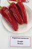 AIdP_20140928_ChiliCode_1968.JPG