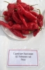AIdP_20140928_ChiliCode_1974.JPG