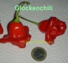 Filename=Glockenchili_2009-10-08_KM1.jpg
Filesize=76KB
Dimensions=640x597
Date added=Oct 28, 2009 Glockenchili_2009-10-08_KM1.jpg