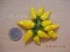 Filename=Limon_20120818_DSCN9063.JPG
Filesize=107KB
Dimensions=768x576
Date added=Oct 10, 2012 Limon_20120818_DSCN9063.JPG