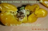 Mushroom_Yellow_1_Beere_20100810_www_chilico_de_3203.JPG