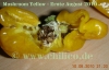 Filename=Mushroom_Yellow_1_Beere_20100810_www_chilico_de_3203.JPG
Filesize=89KB
Dimensions=703x453
Date added=Aug 14, 2010 Mushroom_Yellow_1_Beere_20100810_www_chilico_de_3203.JPG
