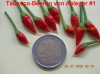 Filename=Tabasco-Beeren2009-07-29.jpg
Filesize=409KB
Dimensions=778x583
Date added=Jul 30, 2009 Tabasco-Beeren2009-07-29.jpg