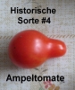 Filename=Tomate_Historische_Sorte_04_Ampeltomate_20100919_www_chilico_de_4140.jpg
Filesize=387KB
Dimensions=588x697
Date added=Jun 04, 2011 Tomate_Historische_Sorte_04_Ampeltomate_20100919_www_chilico_de_4140.jpg