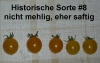 Filename=Tomate_Historische_Sorte_08_gelbe_Kirsche_20100919_www_chilico_de_41381.jpg
Filesize=408KB
Dimensions=765x486
Date added=Jun 04, 2011 Tomate_Historische_Sorte_08_gelbe_Kirsche_20100919_www_chilico_de_41381.jpg