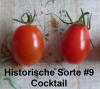 Filename=Tomate_Historische_Sorte_09_Cocktail_20100919_www_chilico_de_4140.jpg
Filesize=227KB
Dimensions=514x458
Date added=Jun 04, 2011 Tomate_Historische_Sorte_09_Cocktail_20100919_www_chilico_de_4140.jpg